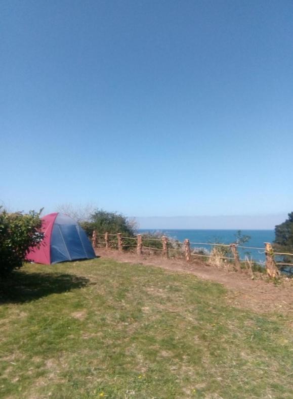 Aire De Camping Car, Caravane, Tente Emplacement Nu Avec Electricite Petit Camping Hotel Plestin les Greves Bagian luar foto